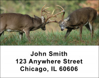 Big Horned Buck Deer Address Labels | LBANK-71