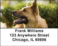 German Shepherds Address Labels | LBDOG-01