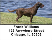 Chocolate Labradors Address Labels | LBDOG-09