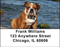 Fun with Bulldogs Address Labels | LBDOG-23