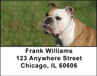 Fun with Bulldogs Address Labels | LBDOG-23