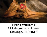 Yorkshire Terriers Address Labels | LBDOG-24
