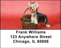 Yorkshire Terriers Address Labels | LBDOG-24