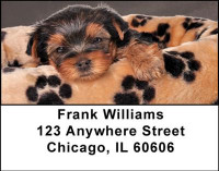 Yorkshire Terriers Address Labels | LBDOG-24