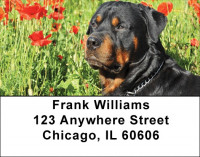 Rottweiler Address Labels | LBDOG-40