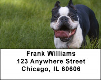 Boston Terrier Address Labels | LBDOG-47