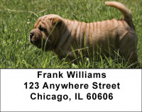 Shar Pei Address Labels | LBDOG-48
