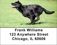 Brilliant Black Labs Address Labels | LBDOG-52