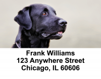 Brilliant Black Labs Address Labels | LBDOG-52