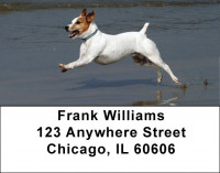 Mischievous Jack Russells Address Labels | LBDOG-58