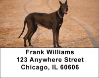 Gigantic Great Danes Address Labels | LBDOG-63