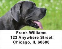 Gigantic Great Danes Address Labels | LBDOG-63