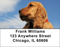 Cuddly Cocker Puppies Address Labels | LBDOG-66
