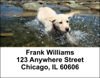 Yellow Lab Puppies Address Labels | LBDOG-72