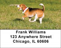 Brilliant Beagles Address Labels | LBDOG-73