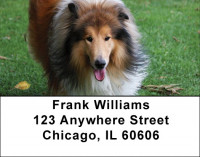 Collies Out and About Address Labels | LBDOG-76
