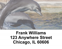 Dolphin Photos Address Labels | LBEVC-01