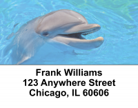 Dolphin Photos Address Labels | LBEVC-01