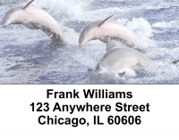 Dolphin Photos Address Labels | LBEVC-01