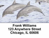 Dolphin Photos Address Labels | LBEVC-01