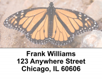 Monarch Butterflies Address Labels | LBEVC-04