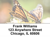 Monarch Butterflies Address Labels | LBEVC-04