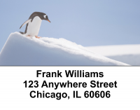 Penguin Address Labels | LBEVC-05