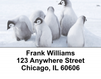 Penguin Address Labels | LBEVC-05