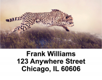 Animal Speed Address Labels | LBEVC-24