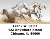 Animal Speed Address Labels | LBEVC-24