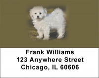 Bichon Frise Address Labels | LBEVC-27