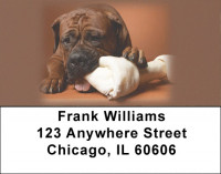 Boxer Dogs Address Labels | LBEVC-30