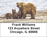 Brown Bears Address Labels | LBEVC-34