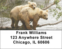 Brown Bears Address Labels | LBEVC-34