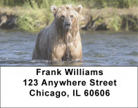 Brown Bears Address Labels | LBEVC-34