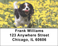 Cavalier King Charles Dogs Address Labels | LBEVC-38