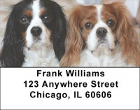 Cavalier King Charles Dogs Address Labels | LBEVC-38