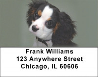 Cavalier King Charles Dogs Address Labels | LBEVC-38