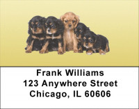 Cavalier King Charles Puppies Address Labels | LBEVC-39