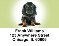 Cavalier King Charles Puppies Address Labels | LBEVC-39