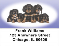 Cavalier King Charles Puppies Address Labels | LBEVC-39