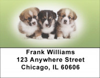 Corgi Dog Address Labels | LBEVC-45