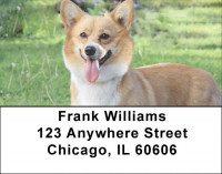 Corgi Dog Address Labels | LBEVC-45