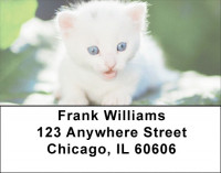 Cute Kittens Address Labels | LBEVC-48