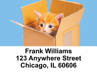 Cute Kittens Address Labels | LBEVC-48