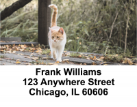 Cute Kittens Address Labels | LBEVC-48
