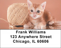 Cute Kittens Address Labels | LBEVC-48