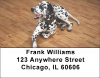 Dalmatian Dogs Address Labels | LBEVC-49