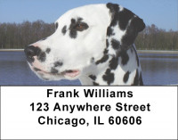 Dalmatian Dogs Address Labels | LBEVC-49