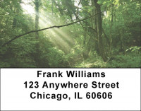 Forest of Mystery Address Labels | LBEVC-57